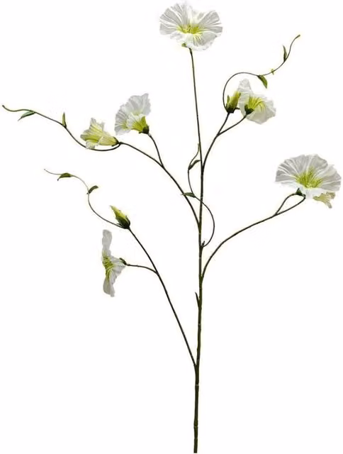 KDMD Botanica Cream Liseron Floral Tabletop Decor, White, 2 Pack, Height: 107 cm