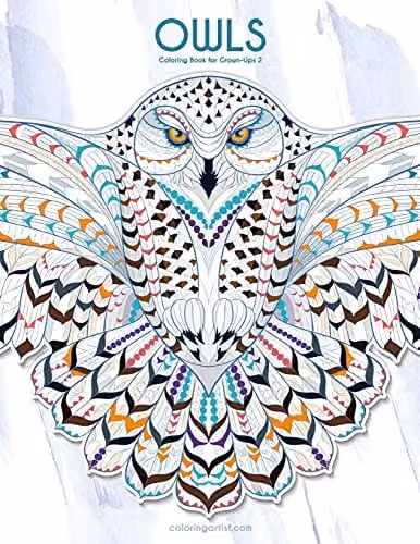 Owls Coloring Book for Grown-Ups 2: Volume 2 by Createspace, Multicolour