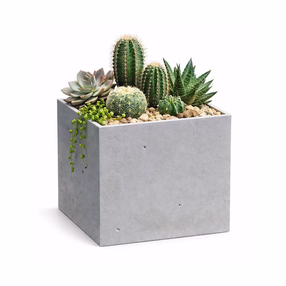 Keter 4-Piece Beton Cube Plant Pots in Grey Concrete Style, Small Tabletop Square Design – 2