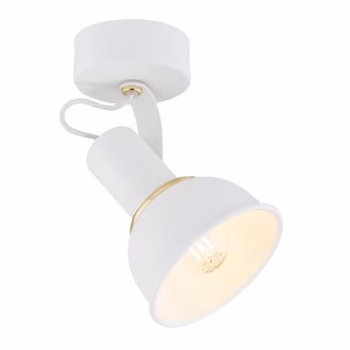 Argon Twist Single Surface Mounted Spotlight in White and Brass