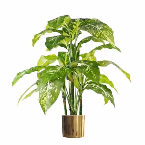 Leaf Design UK Large Fox's Aglaonema Spotted Evergreen Artificial Tree with Gold Planter, Green and Gold, Height: 100 cm – 1
