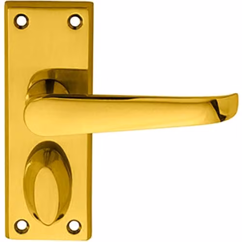Loops Pair Straight Handle on Short Privacy Backplate in Polished Brass, 118 x 42 mm