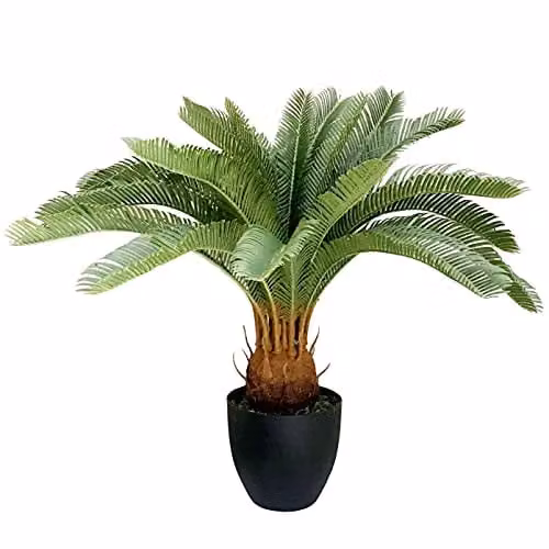 Leaf Design UK Artificial Tropical Cycas Palm Plant, Green, Height: 70 cm – 1