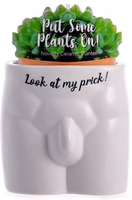 Boxer Gifts Look At My Prick - Put Some Plants On! White Ceramic Tabletop Plant Pot