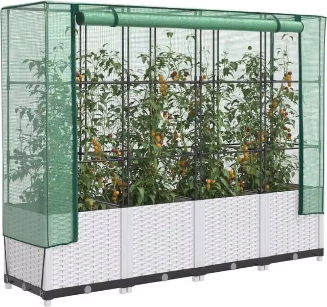 Berkfield Home Raised Bed with Greenhouse Cover in White Rattan Look, W/D/H: 160 x 40 x 138 cm – 1