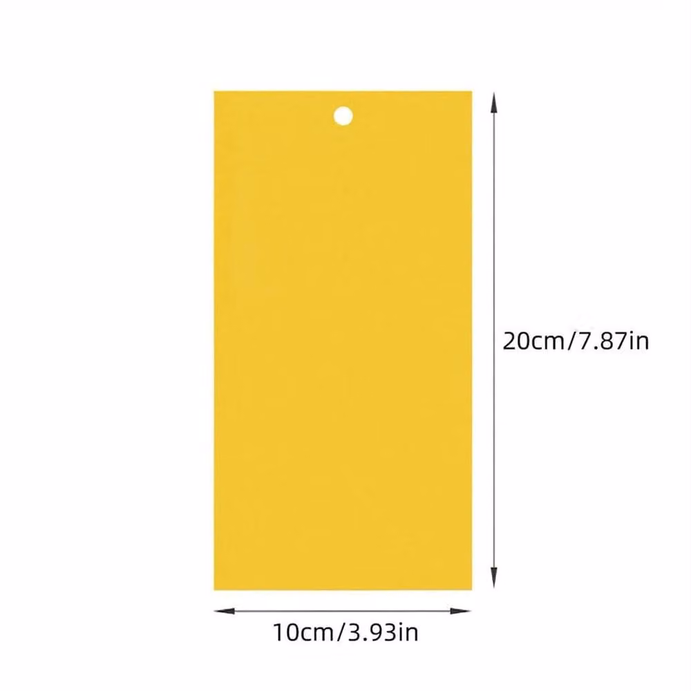 KORVIXA 20 Piece Professional Strong Sticky Fly Trap in Yellow – 2