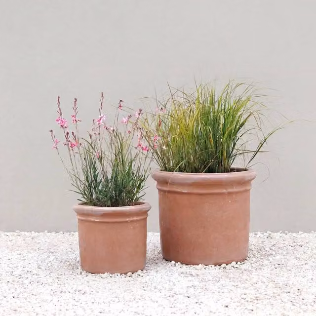 Primrose Massa Cylindrical Terracotta Planter in Orange