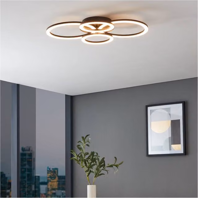 Loops Modern Black Metal Ring Pendant Light with Warm White LED Bulb – 1
