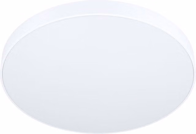 Loops White Flush Ceiling Light with Included 24W LED Bulb