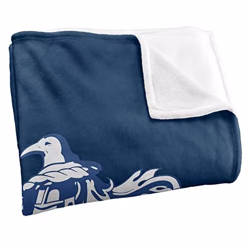 Warner Brothers Harry Potter Ravenclaw Crest 3 White Fleece Blanket W/D/H: 152 x 127 x 1 cm – 2