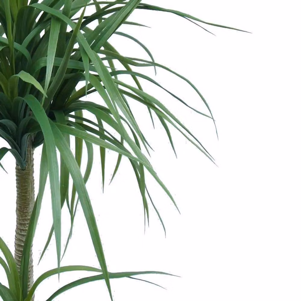 Leaf Premium Artificial Double Dracaena Plant in Green, Height: 90 cm – 2