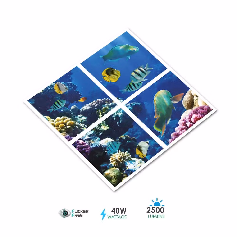 ENER-J Ocean Marine LED Ceiling Panels Set of 4, White, 40W, 2D Effect, Diameter: 25 cm, Height: 19 cm – 2