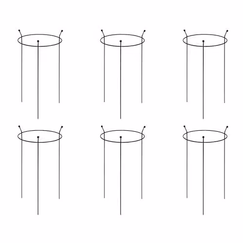 Samuel Alexander 6 Pack of Heavy Duty Steel Herbaceous Plant Support Rings in Black, H 60 cm x W 35 cm x D 35 cm