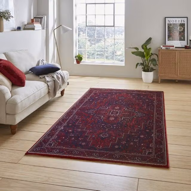 Terrys Red Oriental Classic Rectangular Living Room Rug