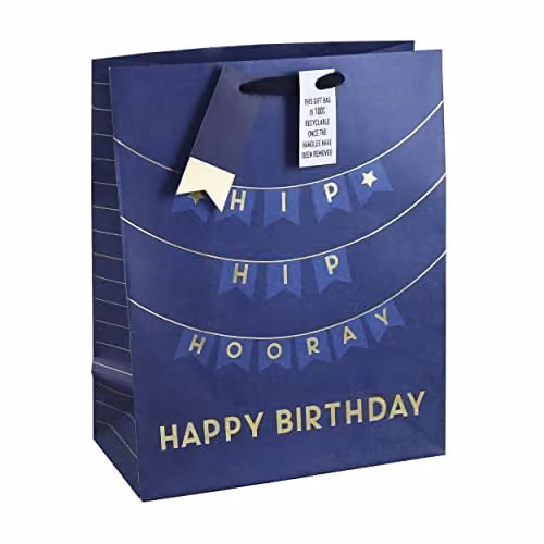 Eurowrap Large Multicolour Paper Birthday Gift Bag