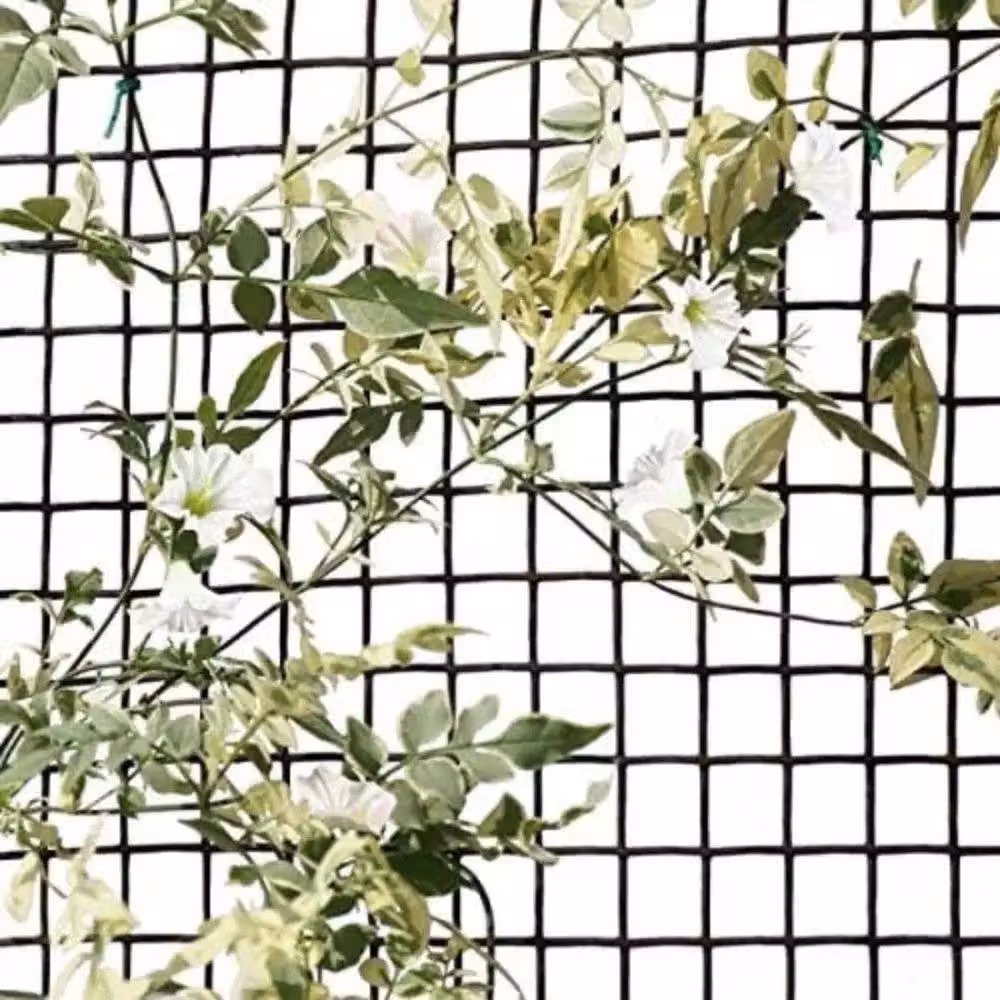Marco Paul General Purpose Garden Wire Mesh in Bottle Green, W: 0.5 m, L: 5 m – 3