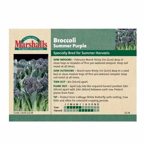 Unwins Broccoli Summer Purple Vegetable Seeds