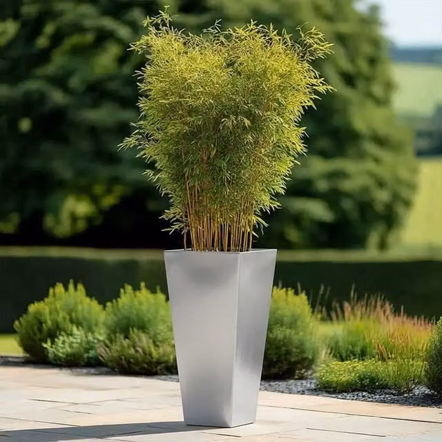 Tulipy Silver Galvanised Steel Tall Tapered Square Planter W: 40 cm, D: 40 cm, H: 90 cm – 4
