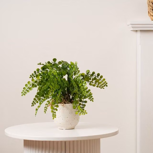 Scottish Everlastings Ltd Green Fern in a Speckled White Ceramic Pot, Height: 28 cm