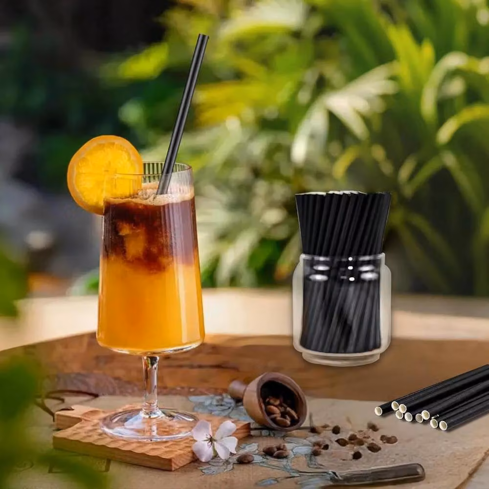 ECONX Black Paper Cocktail Straws, Pack of 250 – 3