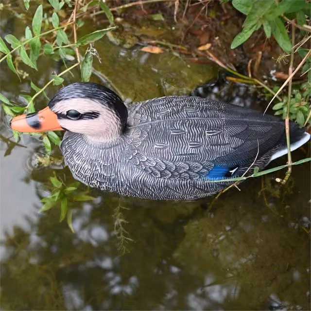 SPETLEK Multicolour Floating Mallard Duck Decoy – 1