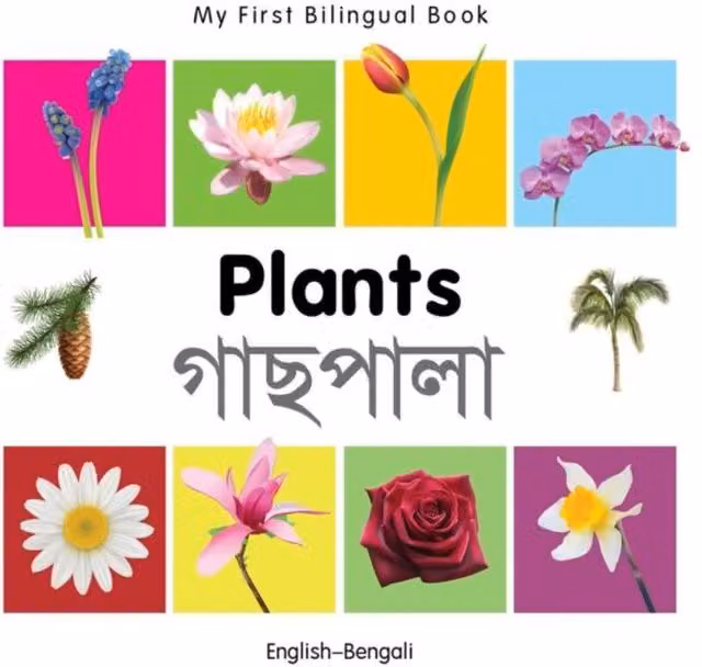 Milet My First Bilingual Book Plants English-Bengali Multicolour Cardboard Board Book