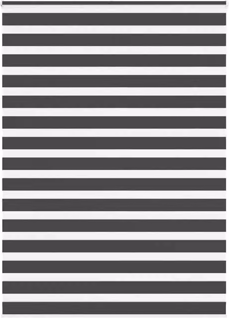 Berkfield Home Black Zebra Day and Night Blind in Polyester, W: 160 cm, H: 230 cm