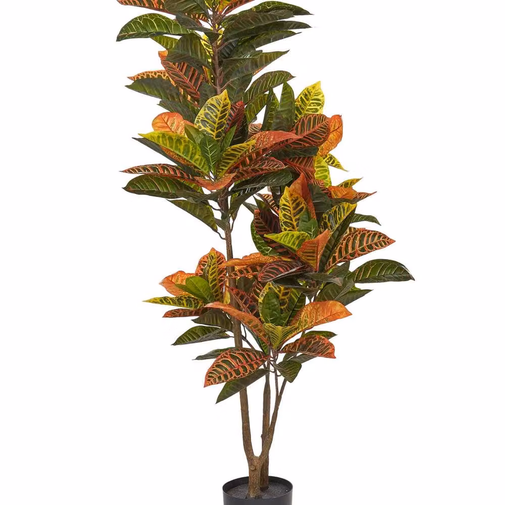 Wyld and Coco 140cm Faux Croton Plant in a Concrete Pot with Green and Black Leaves – 2