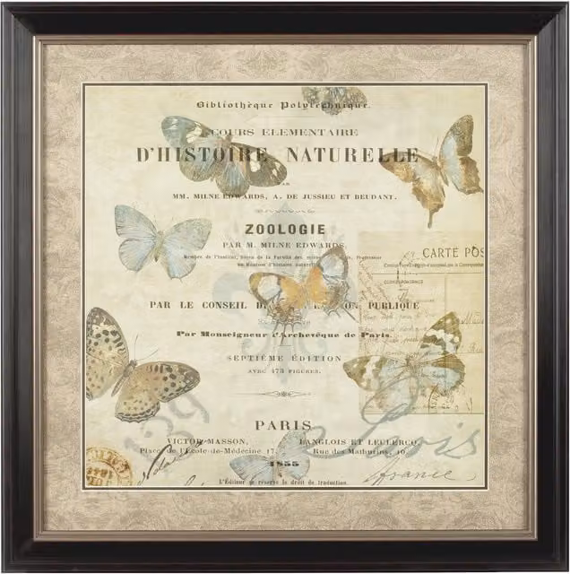Orsina Framed Butterfly 2 Wall Art in Brown and Blue Antique Style – 1