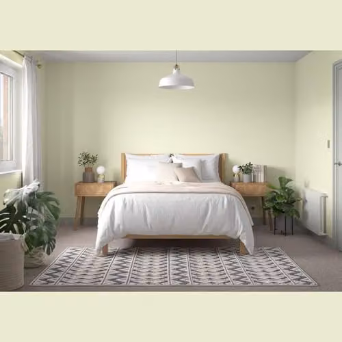 Dulux Trade Vinyl Matt Soft Apple Dispersion Paint, 5 l – 2