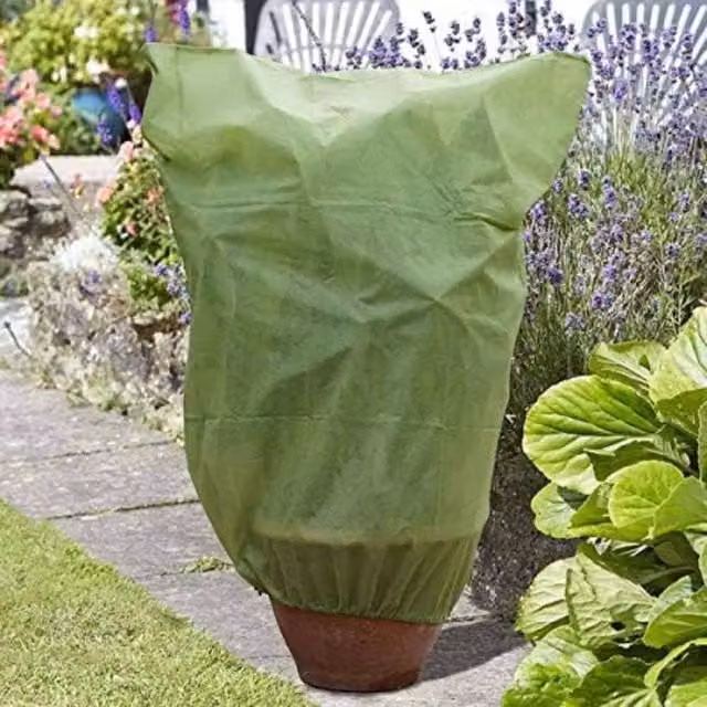 Marco Paul 3-Pack Plant Warming Fleece Covers in Green for Winter Protection – 1