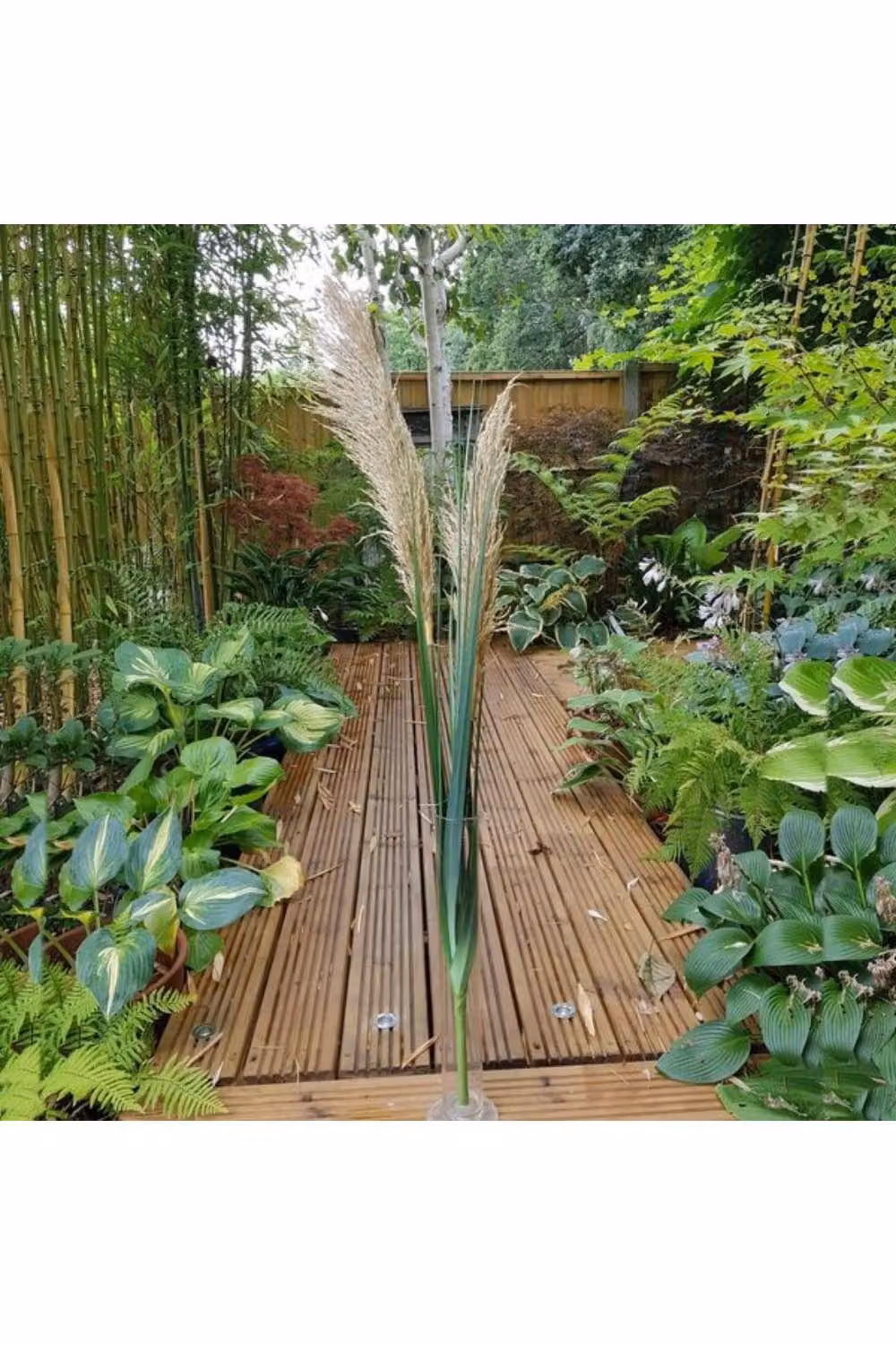 KDMD Brown Pampas Spray with 2 Heads, Height: 86 cm – 2