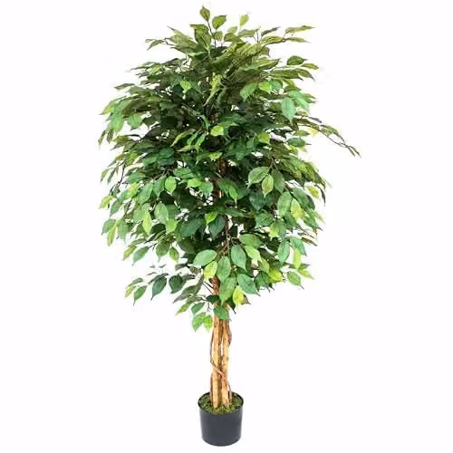 LeafUK Green Artificial Ficus Tree – 2