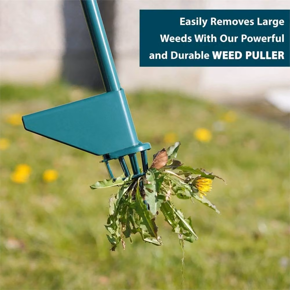 SPETLEK Steel Claw Weed Puller Tool with Long Handle in Green – 3