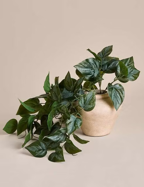 M&S Artificial Trailing Pothos Green Plant in Natural Vase