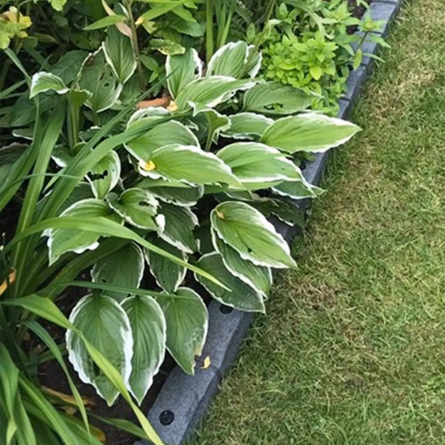 Primrose Roman Stone Effect Rubber Garden Edging in Grey, 3 Pack – 2