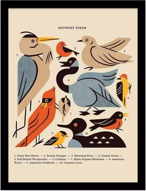 Midwest Birds Framed Paper Poster in Beige and Multicolour – 1