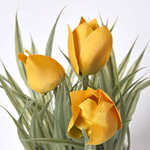 Homescapes Yellow Artificial Tulip Potted Plant in a White Plastic Pot, Height: 22 cm – 2