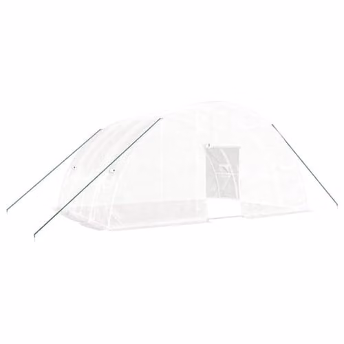 vidaXL Greenhouse with Steel Frame, White, W/D/H: 6 x 4 x 2.85 m – 1