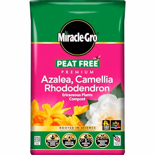Miracle-Gro Premium Azalea, Camellia, Rhododendron and Special Plants Peat Free Compost, 40 Litres – 1