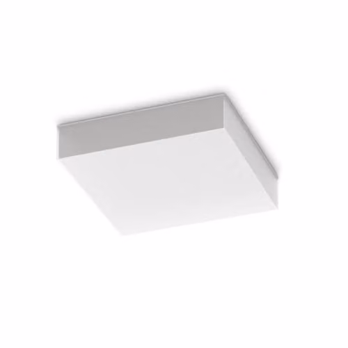 Netlighting Snow LED Flush Ceiling Light White 4000K IP65