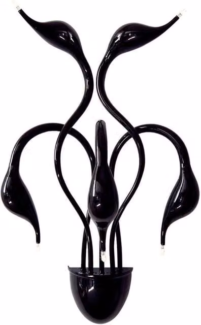 Italux Lighting Swan Modern 5 Light Wall Lamp with G4 Bulbs in Black