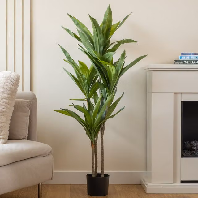 Scottish Everlastings Ltd 120 cm Real Touch Draceana Tree in Green