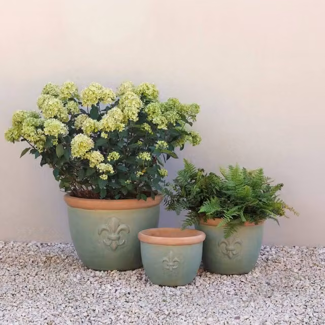 Primrose Fiore Fleur De Lys Patterned Ceramic Planter Tub in Green – 1