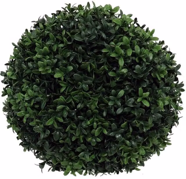 UV Botanica Box Ball Greeney Ball Green Plastic Tabletop Potted Plant