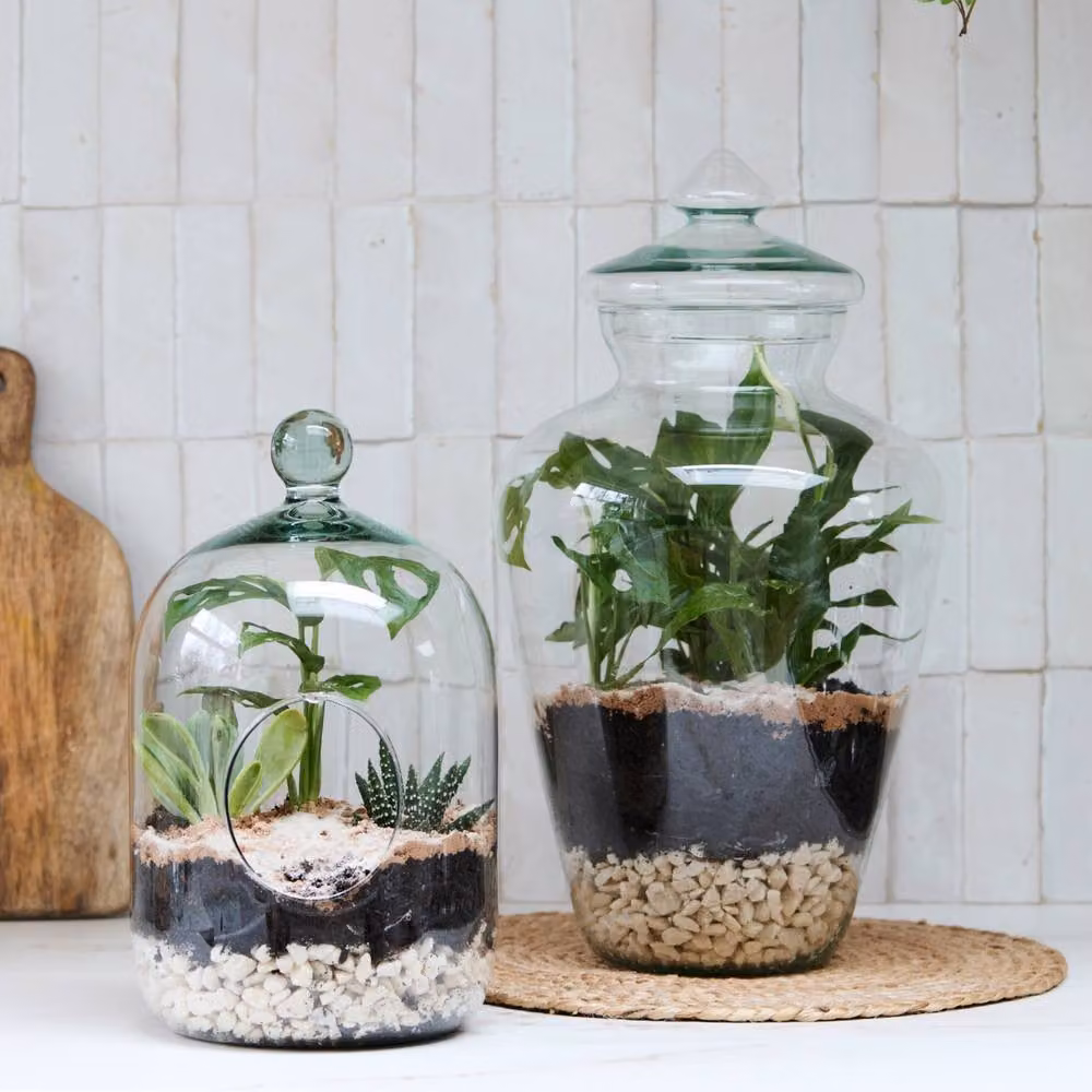 Ivyline Glass Bell Jar Open Terrarium, Clear, H: 30 cm, D: 15 cm – 2