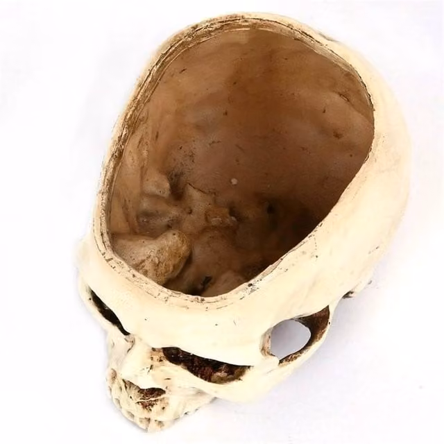 FLAVORA Realistic Resin Skull Planter for Succulents, White, H 100 cm x W 15 cm x D 15 cm
