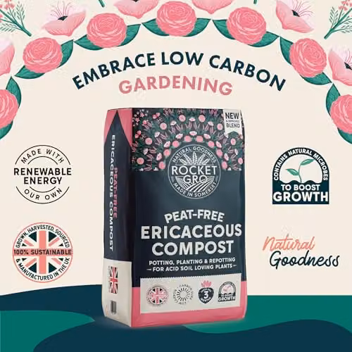 RocketGro Ericaceous Peat-Free Compost, 20L – 2