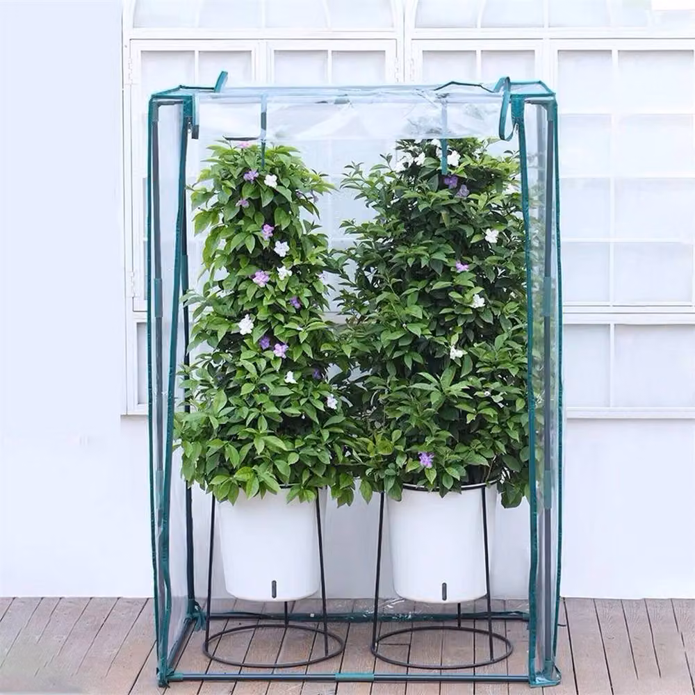 Nordara Reinforced Steel Tomato Greenhouse Frame and Transparent Cover for Outdoor Vegetable Gardens W/D/H: 150 x 100 x 50 cm – 3