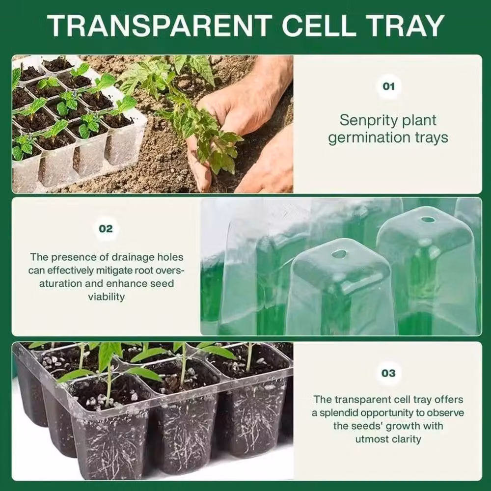 NESTLUNE Green 10 Pack Plant Seed Trays Germination Kit Growing Aid – 6